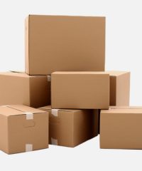 کارتن سازی پیشتاز اسدی