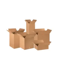 کارتن سازی پاسارگاد کهن
