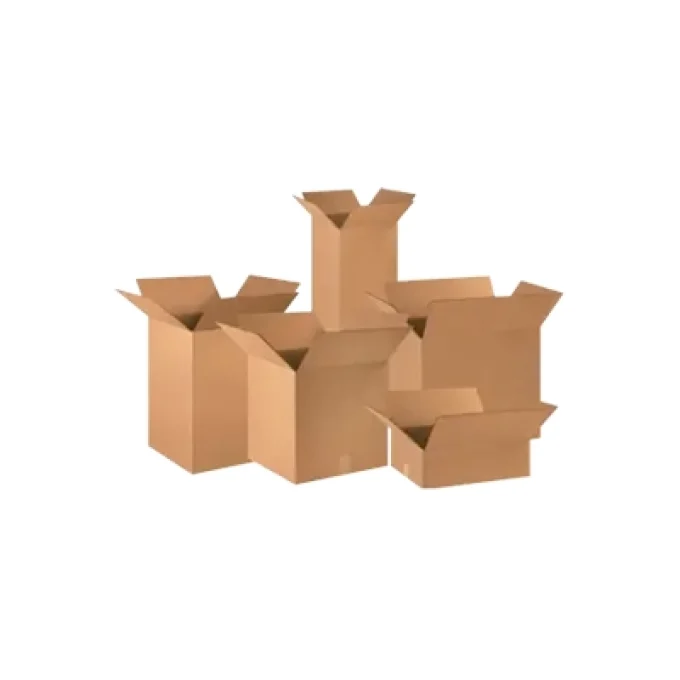 کارتن سازی پاسارگاد کهن