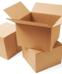 کارتن سازی قائم (پانزده خرداد)